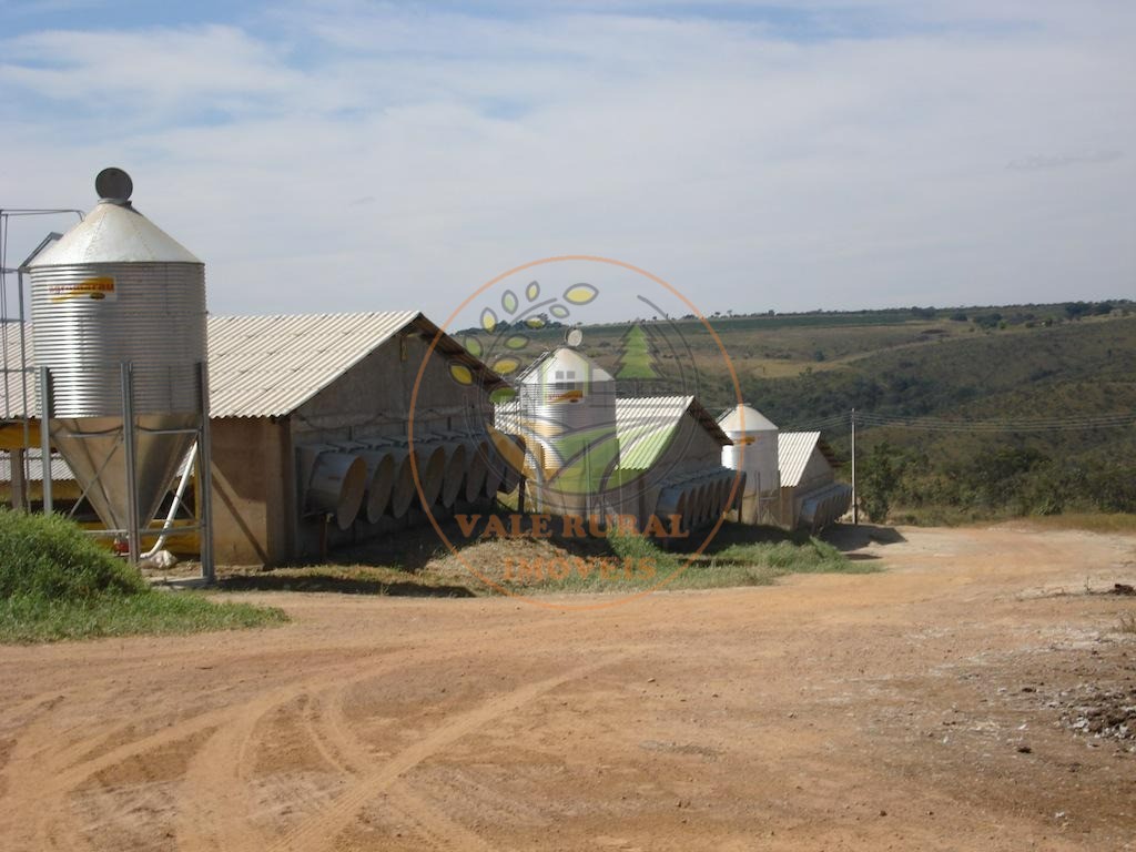 Fazenda, 4 quartos - Foto 42