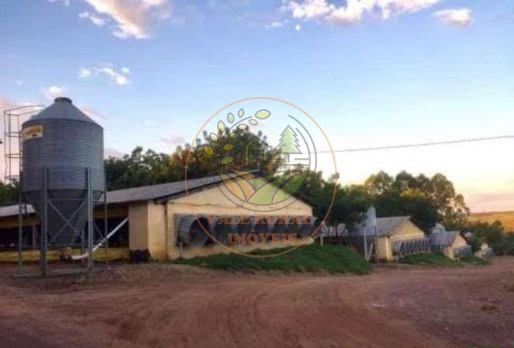 Fazenda, 4 quartos - Foto 27
