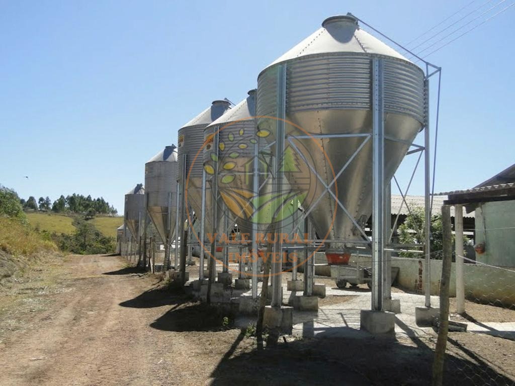 Fazenda, 4 quartos - Foto 6