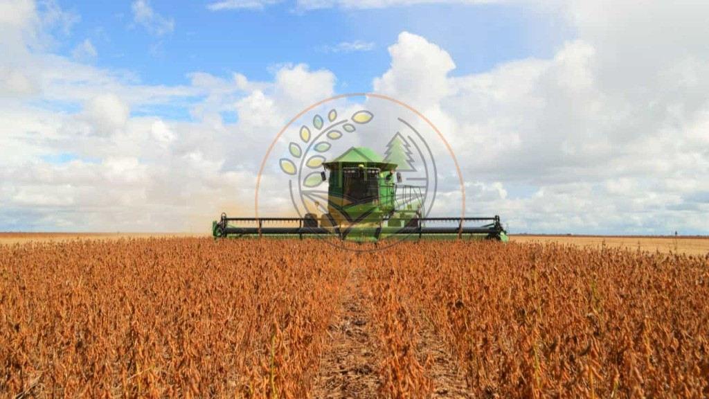 Fazenda - Foto 3