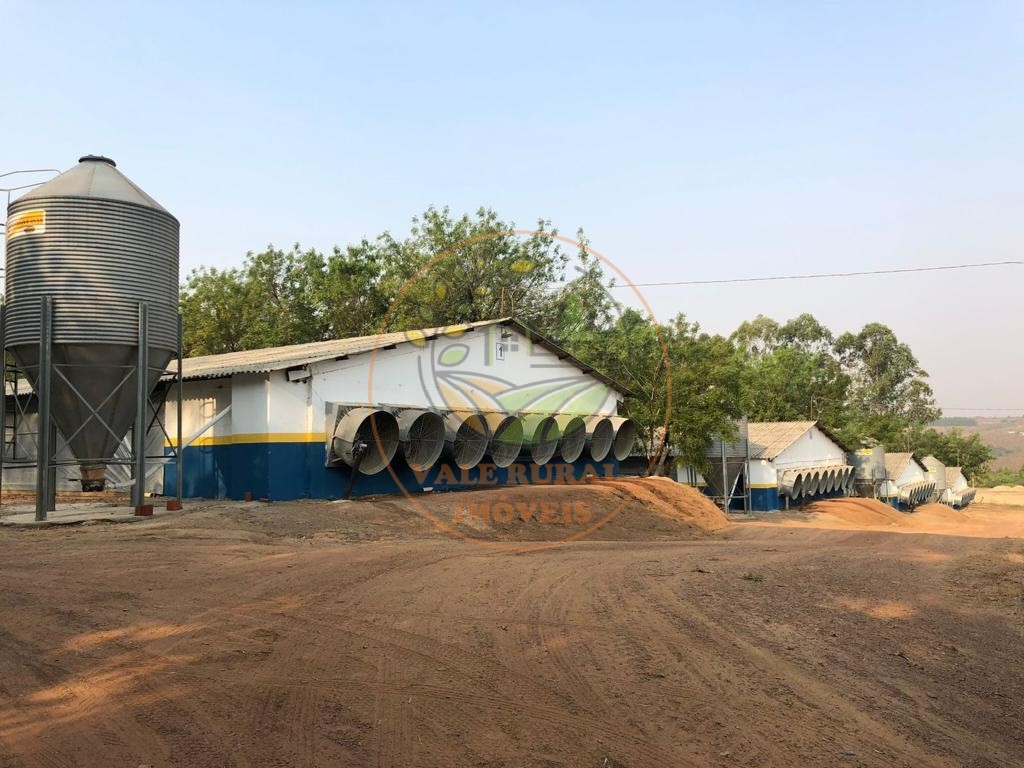 Fazenda, 4 quartos - Foto 31