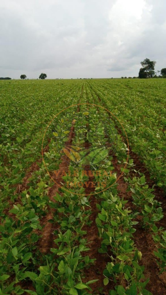 Fazenda - Foto 6