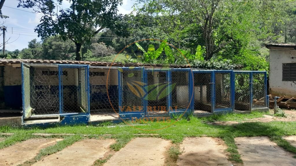 Chácara, 5 quartos - Foto 4