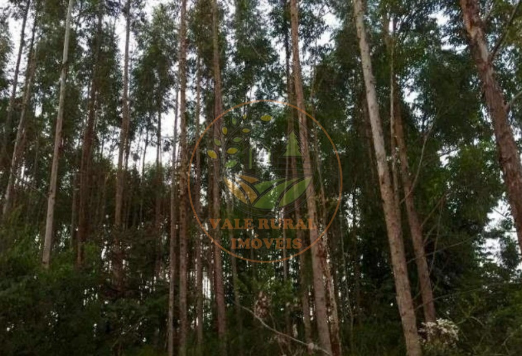 Fazenda, 4 quartos - Foto 56