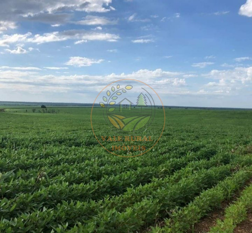 Fazenda - Foto 5