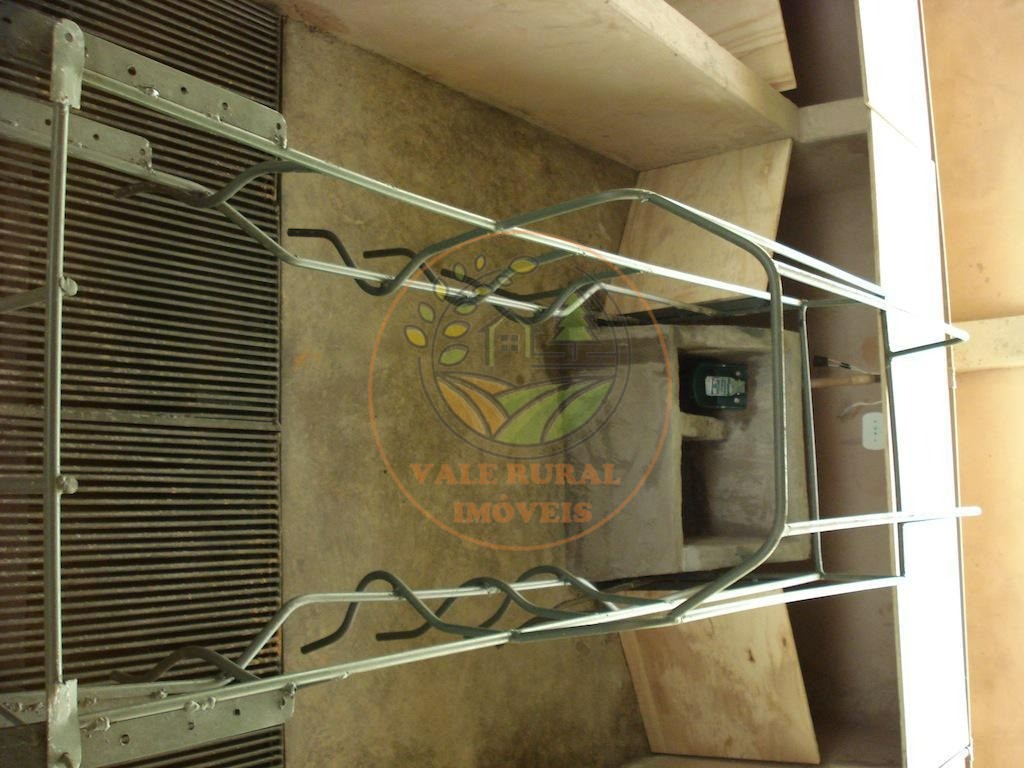Fazenda, 4 quartos - Foto 19