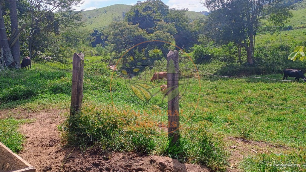 Sítio, 2 quartos - Foto 21