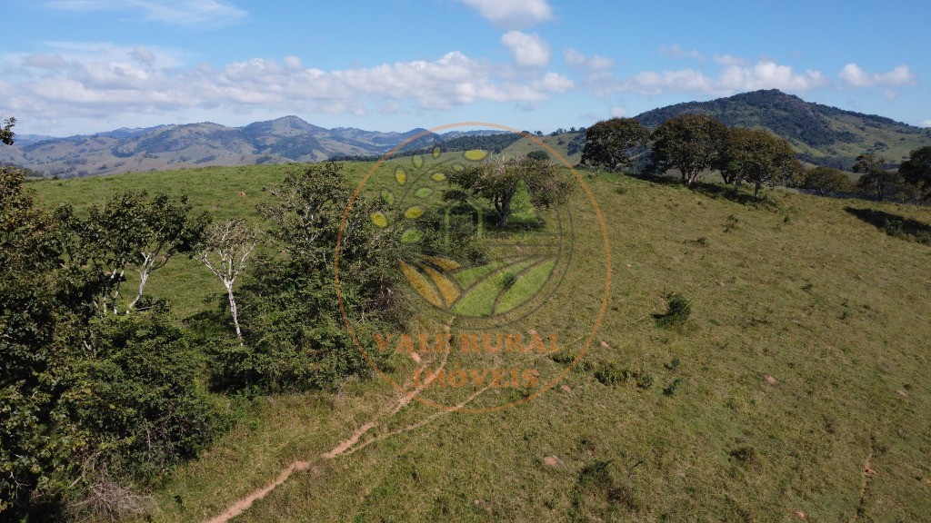 Fazenda - Foto 51