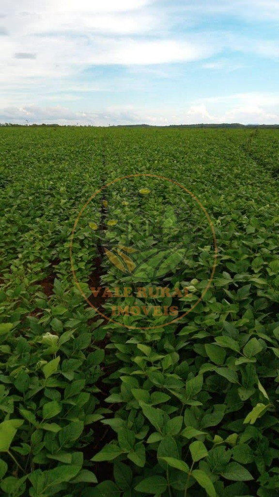 Fazenda - Foto 8