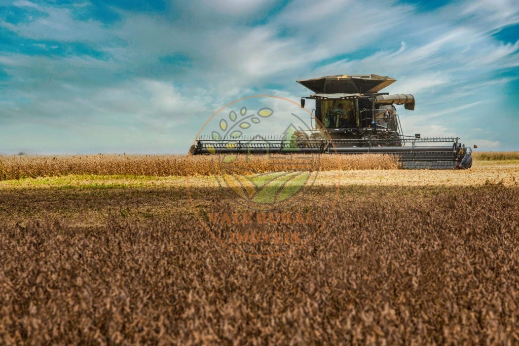 Fazenda - Foto 9