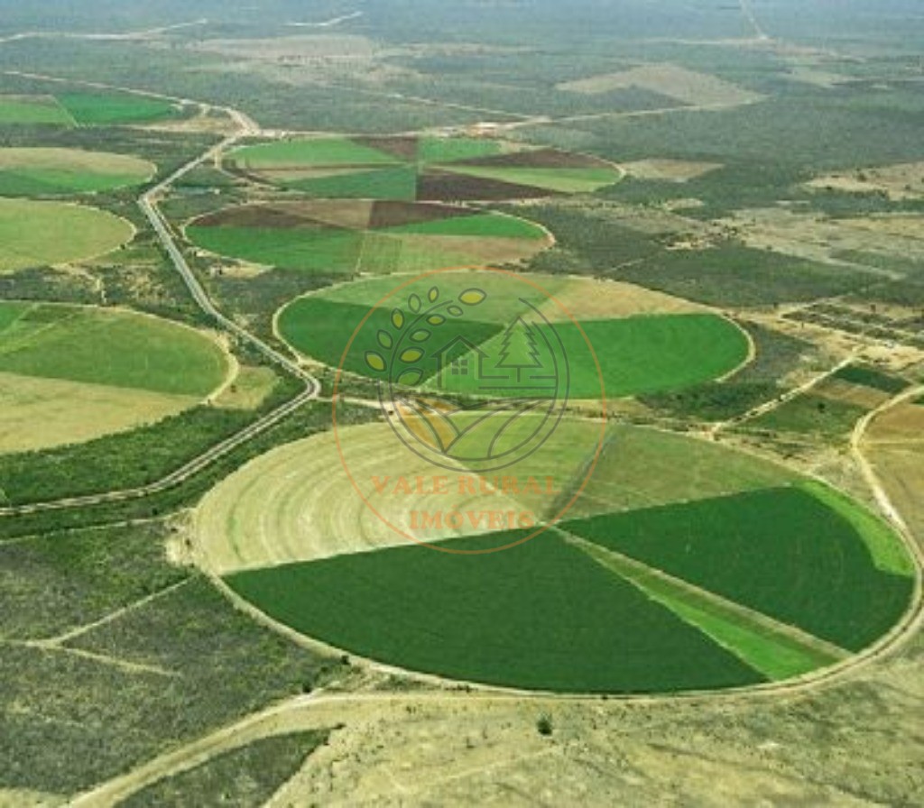 Fazenda, 5 quartos - Foto 2