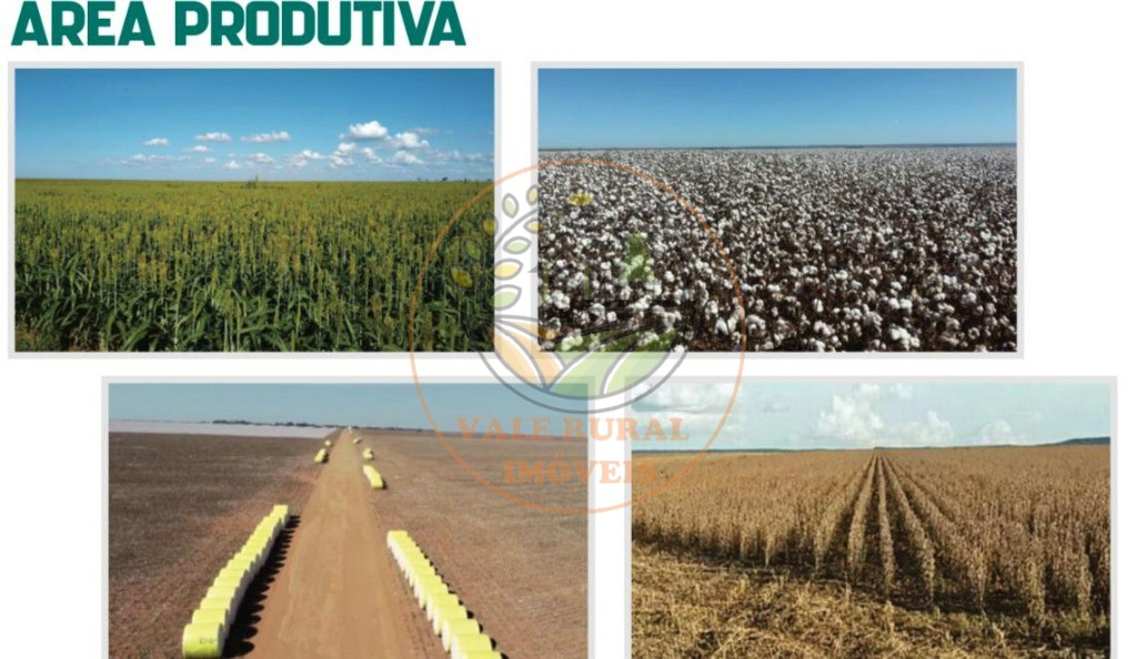 Fazenda, 5 quartos - Foto 7