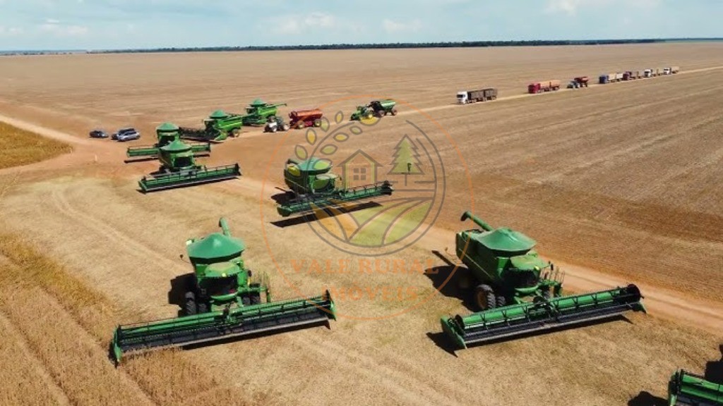 Fazenda - Foto 4
