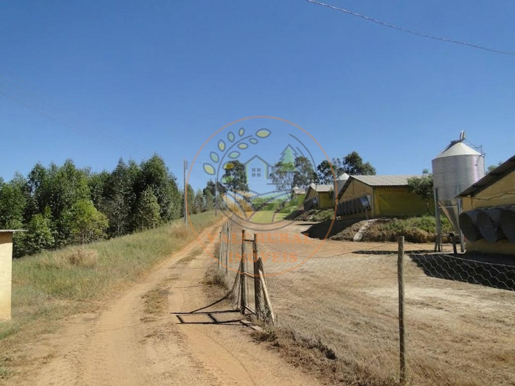 Fazenda, 4 quartos - Foto 41