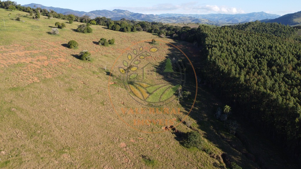 Sítio, 2 quartos, 3 hectares - Foto 48