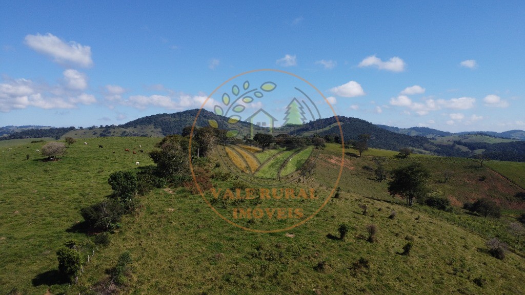 Fazenda - Foto 47