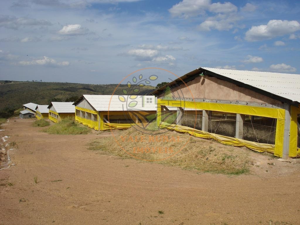 Fazenda, 4 quartos - Foto 24