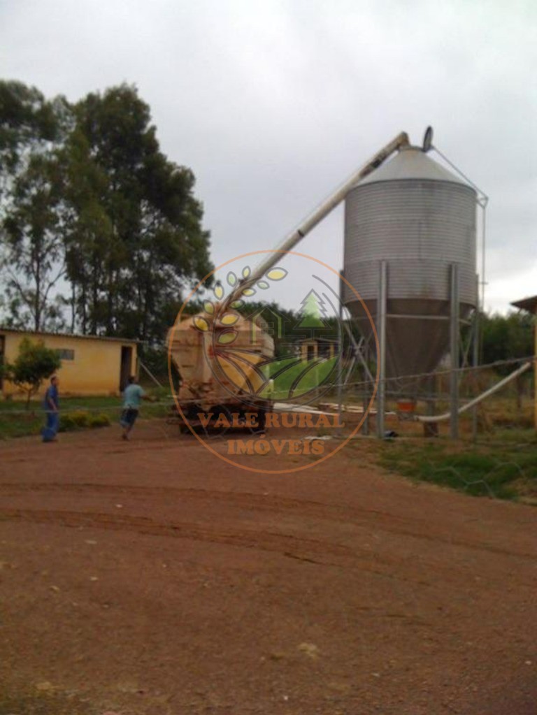 Fazenda, 4 quartos - Foto 43