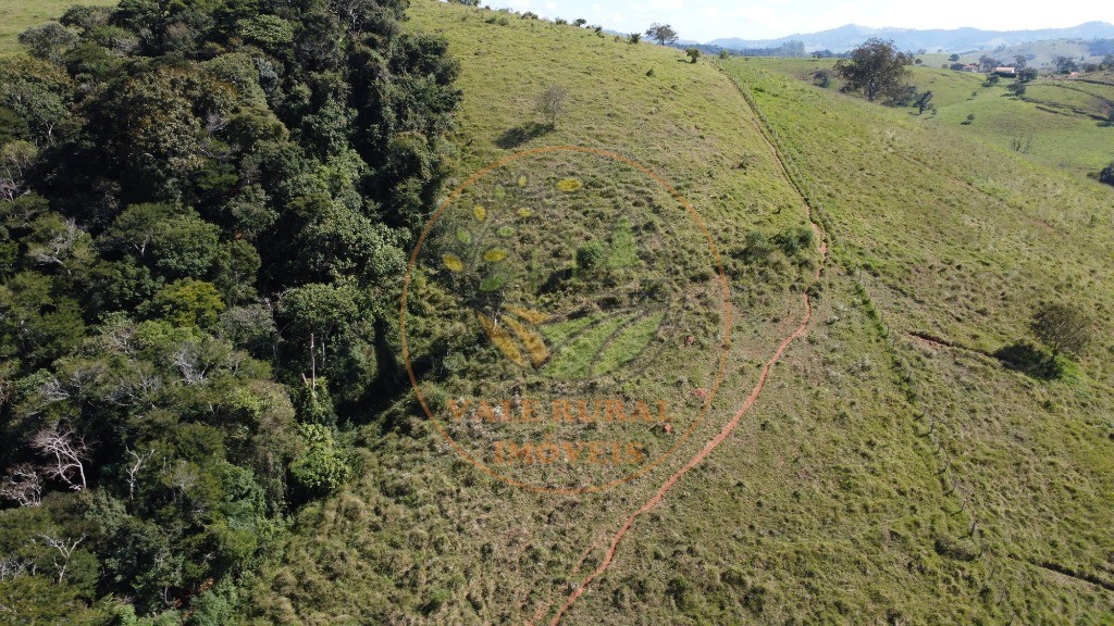 Fazenda - Foto 42