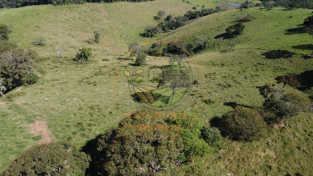 Fazenda - Foto 53