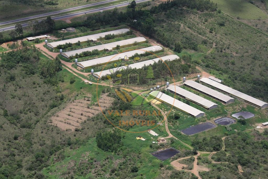Fazenda, 4 quartos - Foto 3