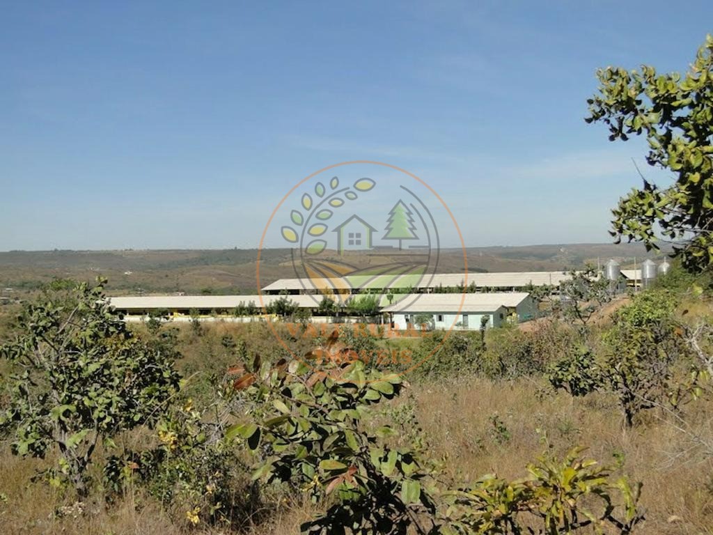 Fazenda, 4 quartos - Foto 5