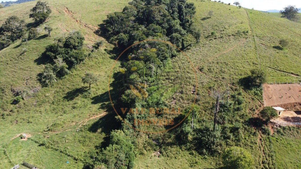 Fazenda - Foto 40