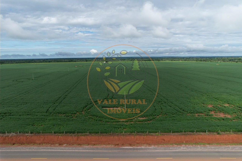 Fazenda, 4 quartos - Foto 1