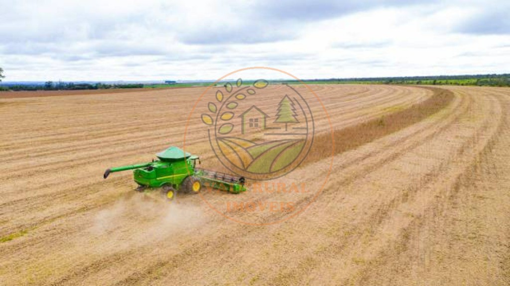 Fazenda - Foto 7