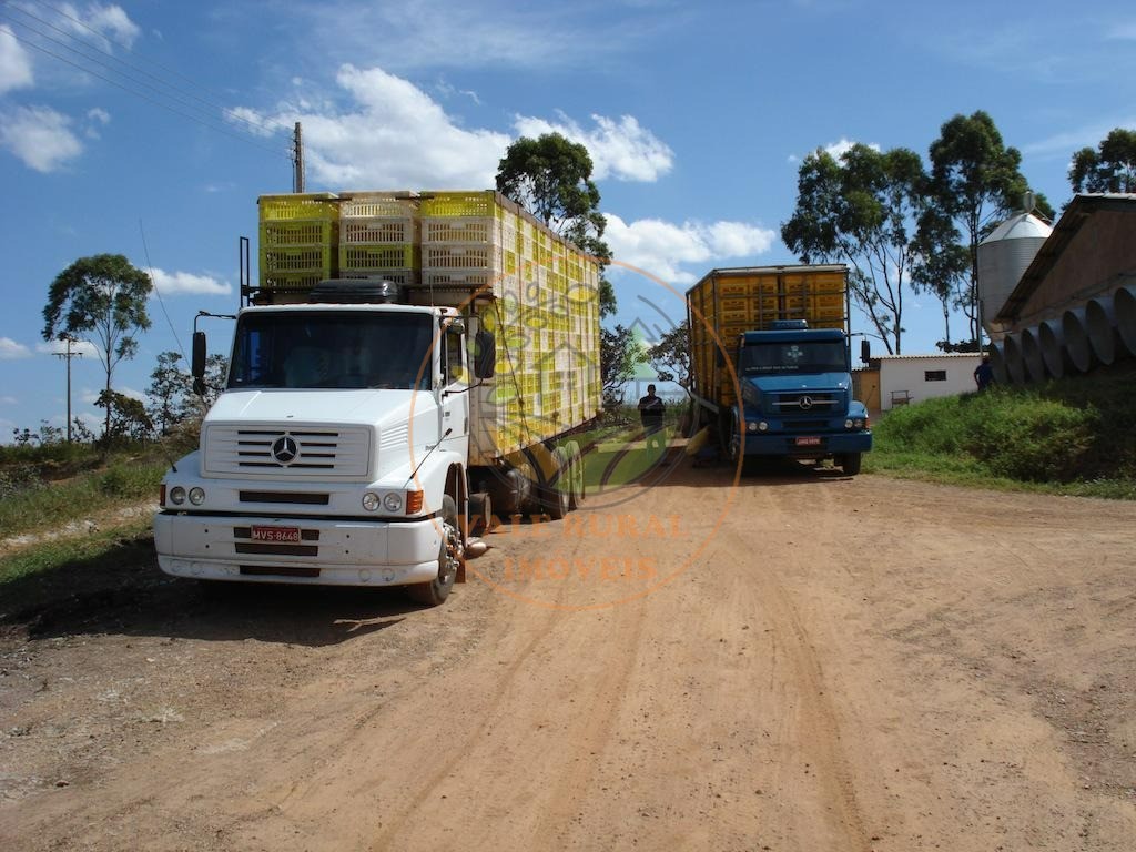 Fazenda, 4 quartos - Foto 66