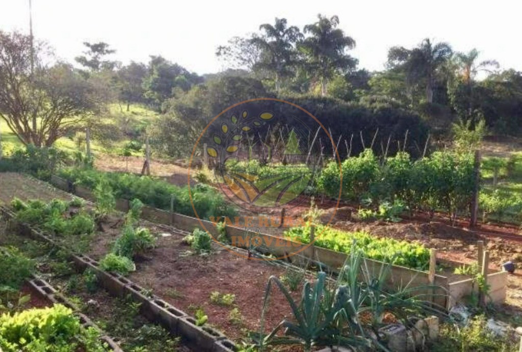 Fazenda, 4 quartos - Foto 53