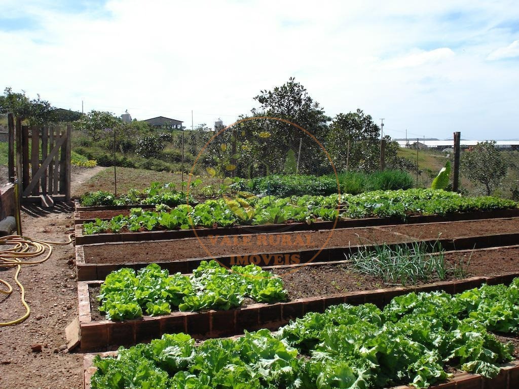 Fazenda, 4 quartos - Foto 69