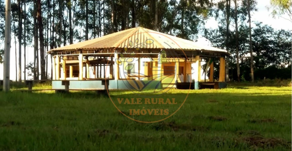 Fazenda, 9 hectares - Foto 10