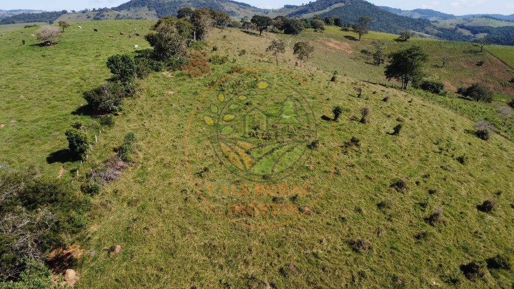 Fazenda - Foto 48