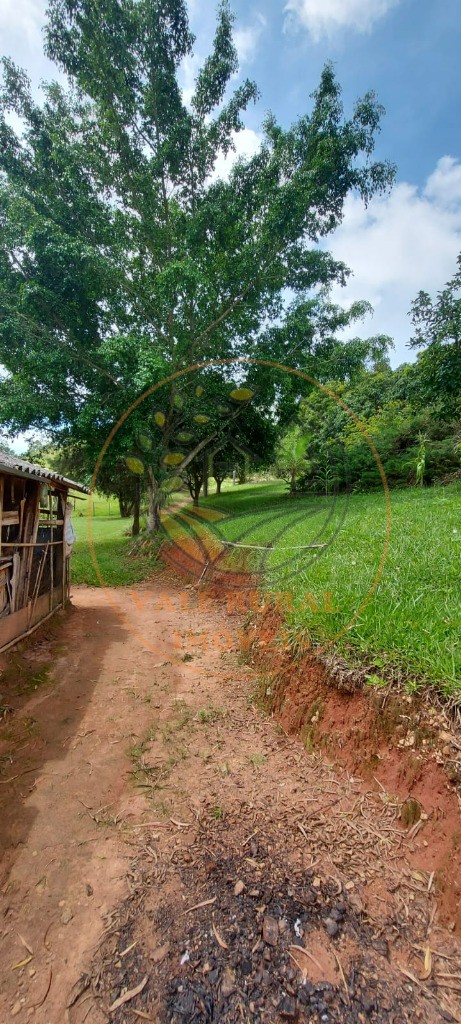 Fazenda - Foto 15