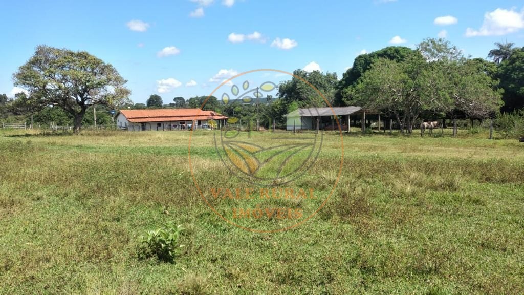 Fazenda - Foto 12
