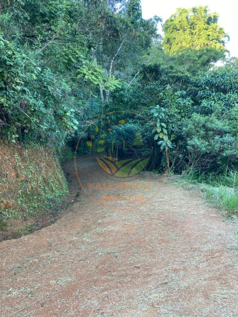 Chácara, 4 quartos - Foto 14