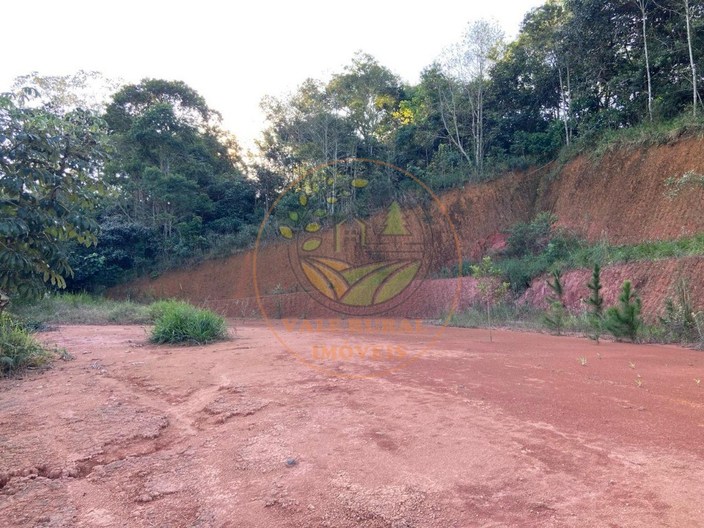 Chácara, 4 quartos - Foto 6