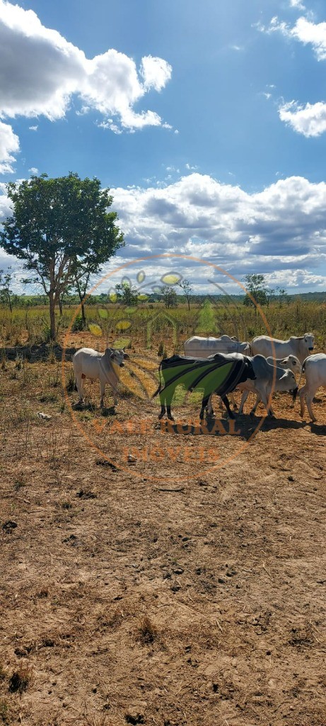 Fazenda - Foto 7