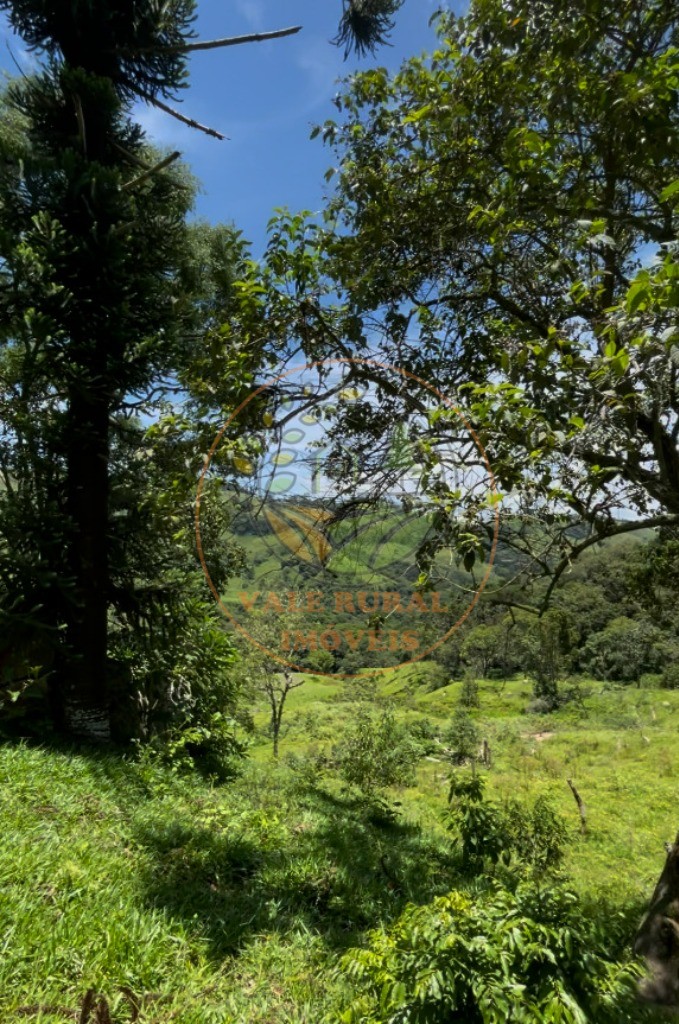 Fazenda - Foto 5