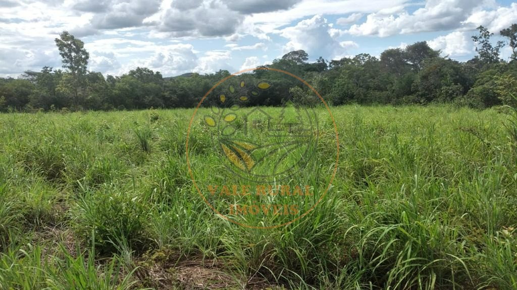 Fazenda - Foto 15