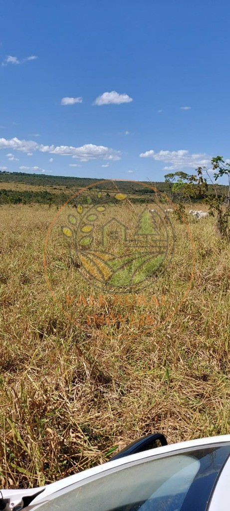 Fazenda - Foto 8