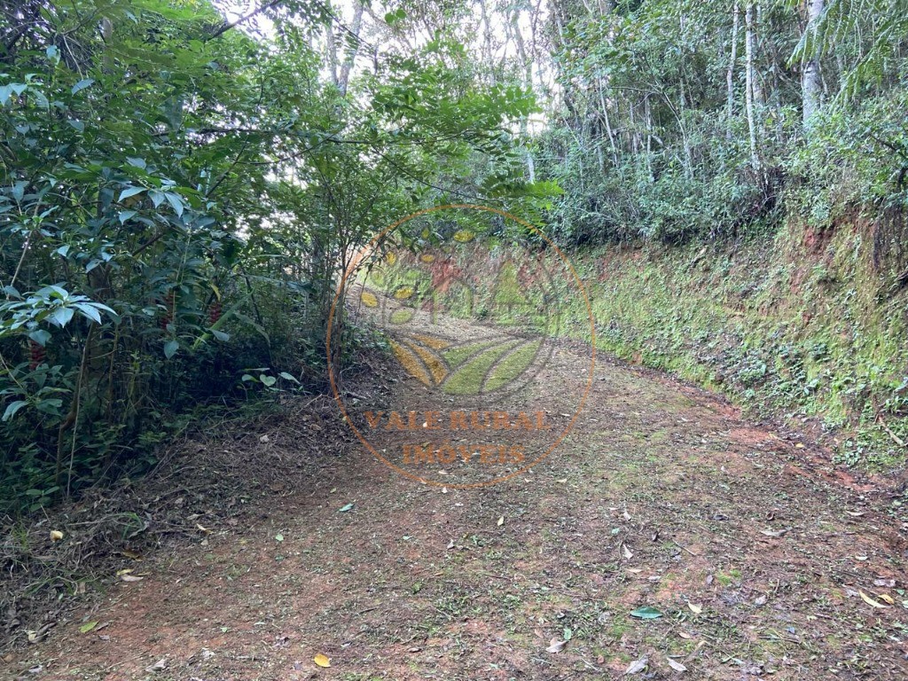Chácara, 4 quartos - Foto 22