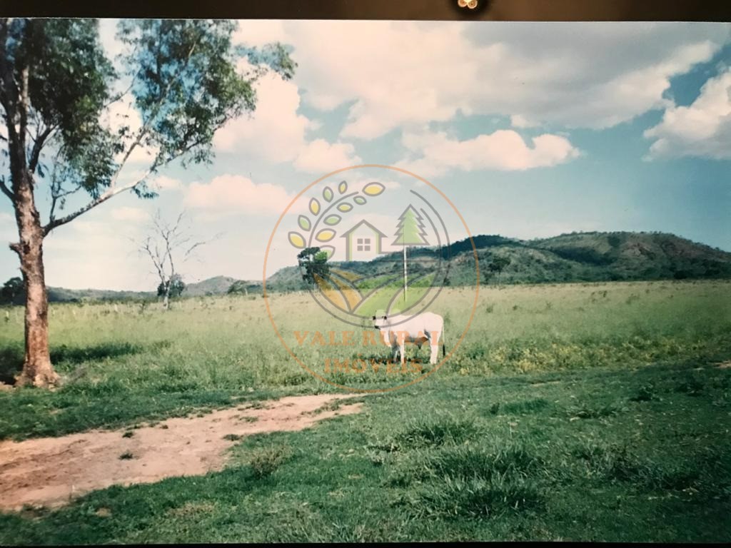 Fazenda - Foto 10