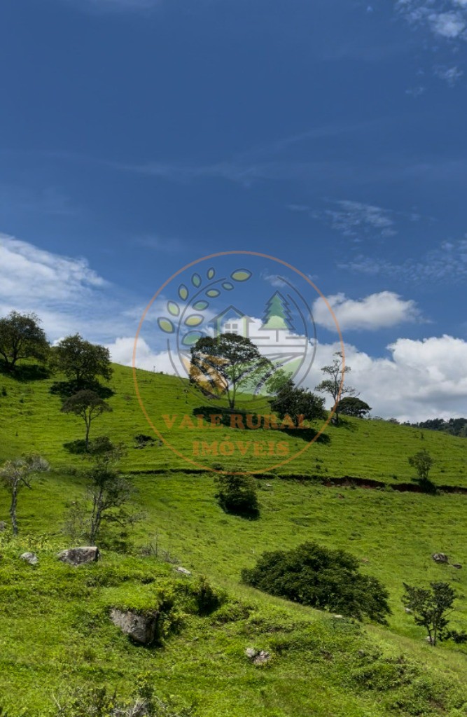Fazenda - Foto 4
