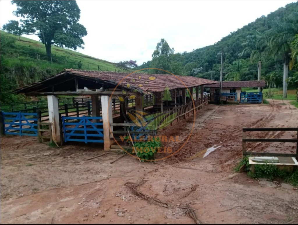 Fazenda, 3 quartos - Foto 14