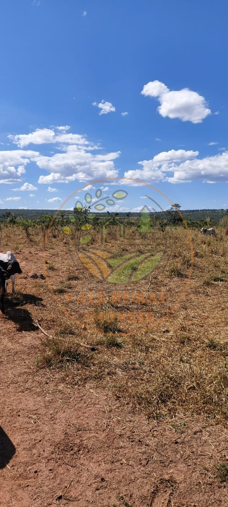 Fazenda - Foto 5