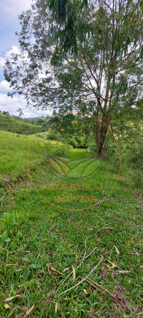 Fazenda - Foto 7