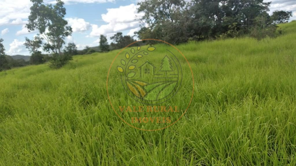 Fazenda - Foto 13
