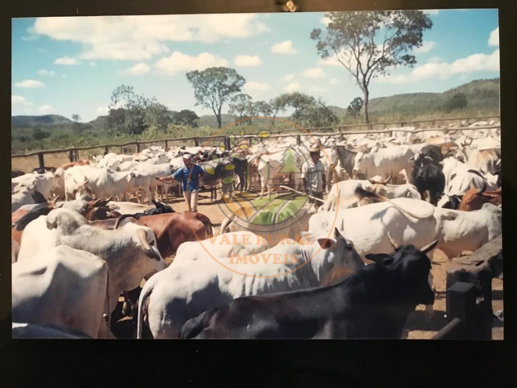 Fazenda - Foto 5